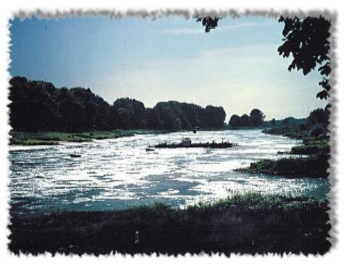 Landgasthof Sonneneck Listerfehrda Buitenkant foto
